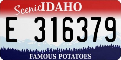 ID license plate E316379