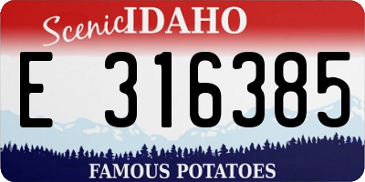 ID license plate E316385