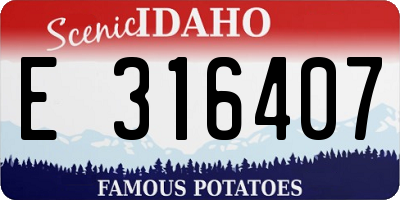 ID license plate E316407