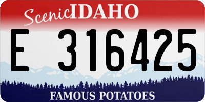 ID license plate E316425