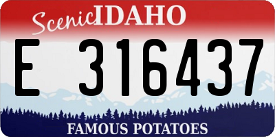 ID license plate E316437