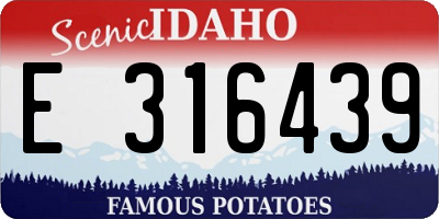 ID license plate E316439