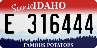 ID license plate E316444