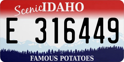 ID license plate E316449