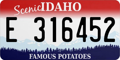 ID license plate E316452