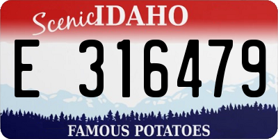 ID license plate E316479