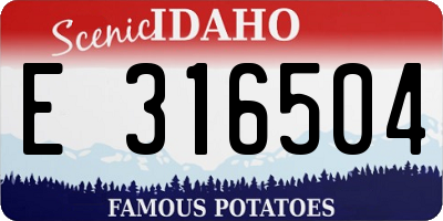 ID license plate E316504