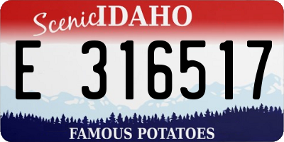 ID license plate E316517