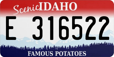 ID license plate E316522