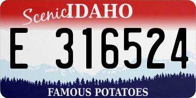 ID license plate E316524