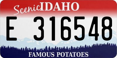 ID license plate E316548