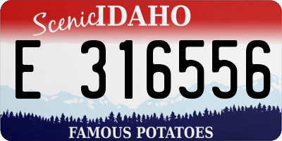 ID license plate E316556