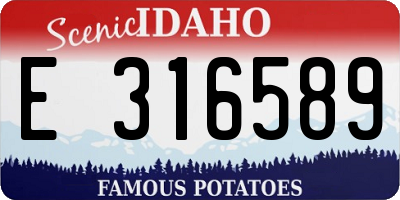 ID license plate E316589