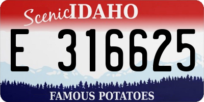 ID license plate E316625