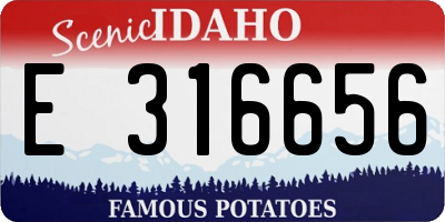 ID license plate E316656