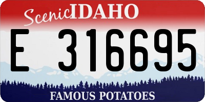 ID license plate E316695