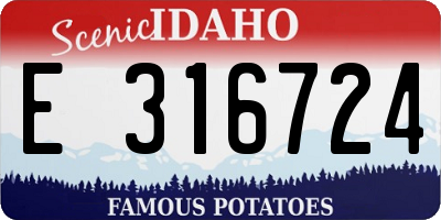 ID license plate E316724