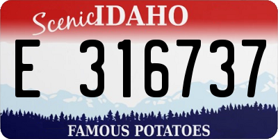 ID license plate E316737