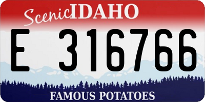 ID license plate E316766