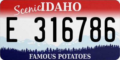 ID license plate E316786