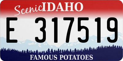 ID license plate E317519