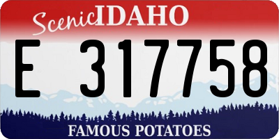 ID license plate E317758