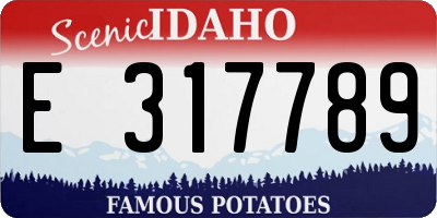 ID license plate E317789