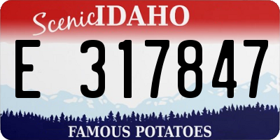 ID license plate E317847