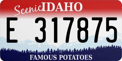 ID license plate E317875