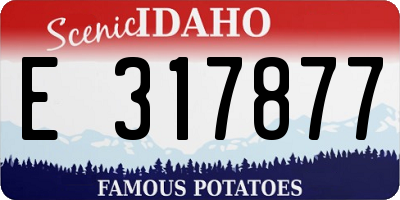 ID license plate E317877