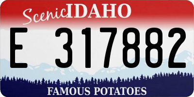 ID license plate E317882