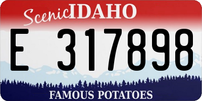 ID license plate E317898