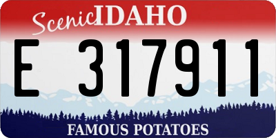 ID license plate E317911