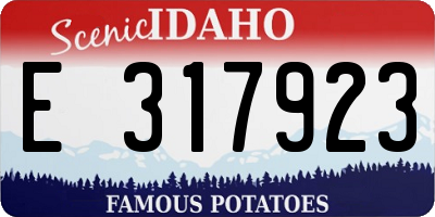 ID license plate E317923