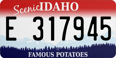 ID license plate E317945