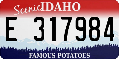 ID license plate E317984