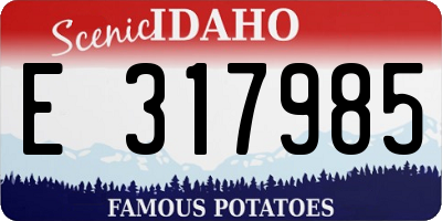 ID license plate E317985