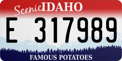 ID license plate E317989