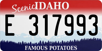 ID license plate E317993