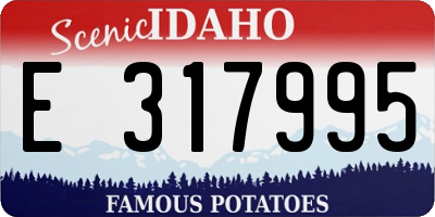 ID license plate E317995