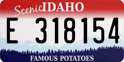 ID license plate E318154