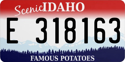 ID license plate E318163