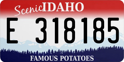 ID license plate E318185