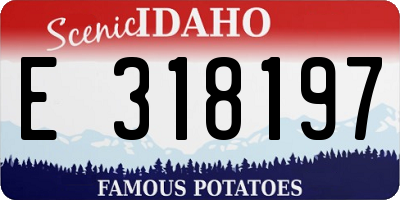 ID license plate E318197