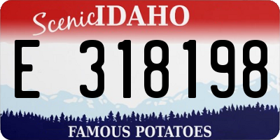 ID license plate E318198