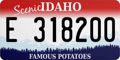 ID license plate E318200