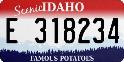 ID license plate E318234