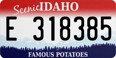 ID license plate E318385