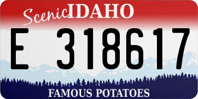 ID license plate E318617