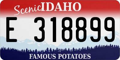 ID license plate E318899